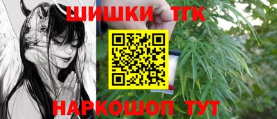 тгк Краснознаменск