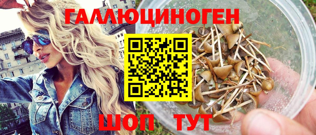 Галлюциногенные грибы прущие грибы Клинцы