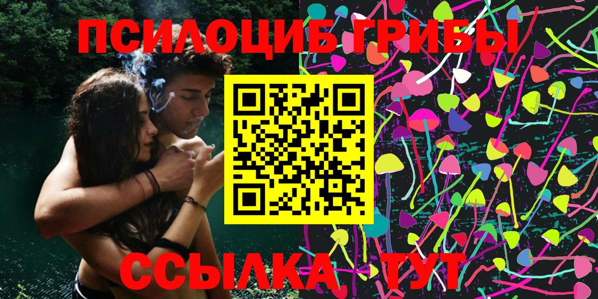 Клинцы  Псилоцибиновые грибы Magic Shrooms  Вход с VPN  Галлюциногенные грибы Cubensis 